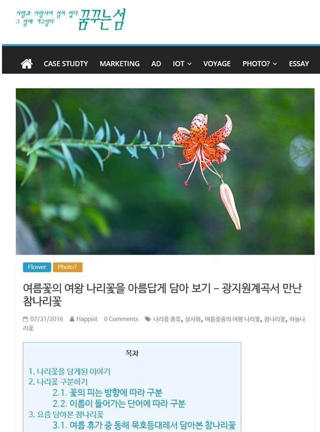 테마 변경 후 사이트 메인 resize