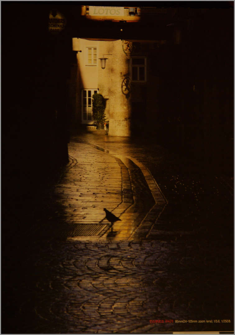 사진가의 여행법-2576.jpg