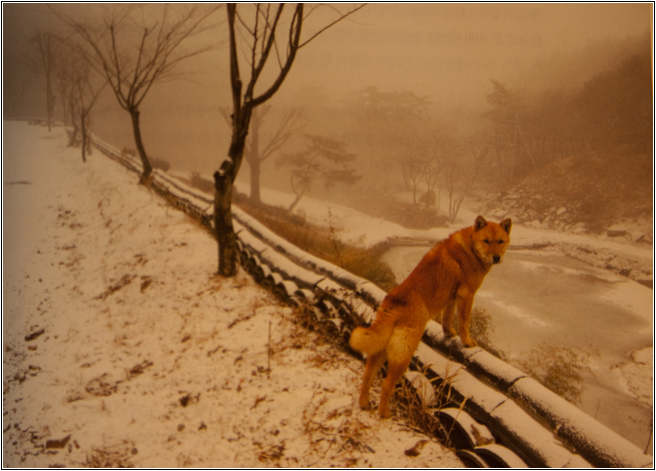 김홍희_나는 사진이다-5450.jpg