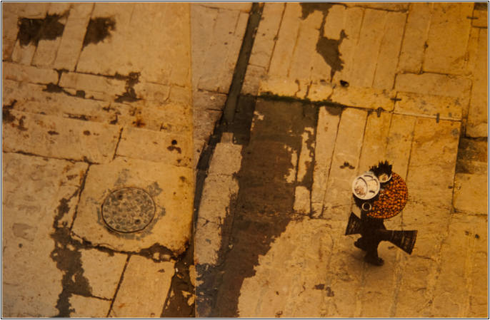 조선희의 힐링포토 11