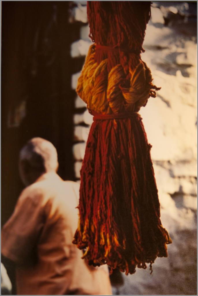 조선희의 힐링포토 4