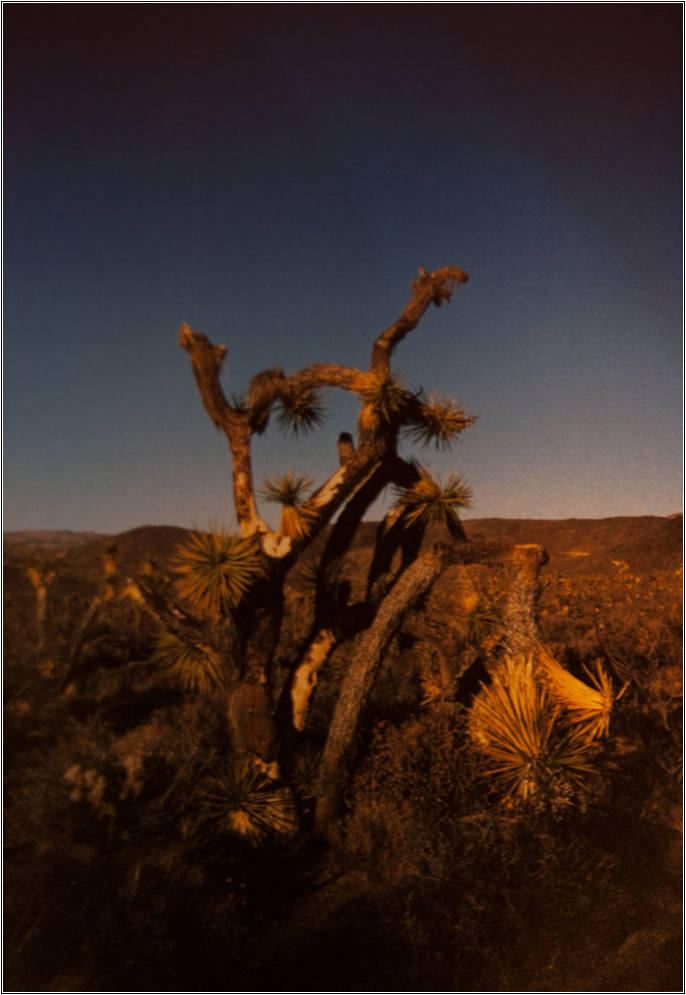 조선희의 힐링포토 5