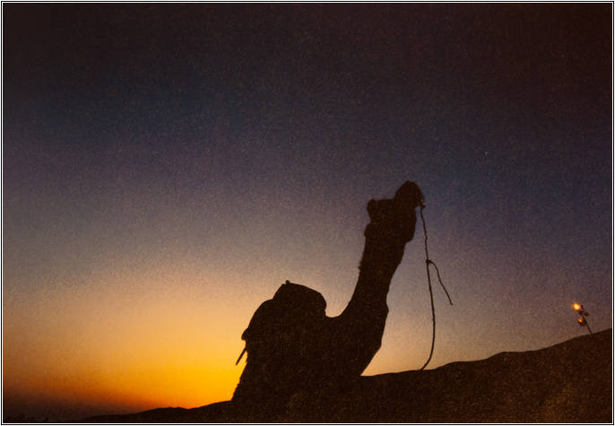 조선희의 힐링포토 6