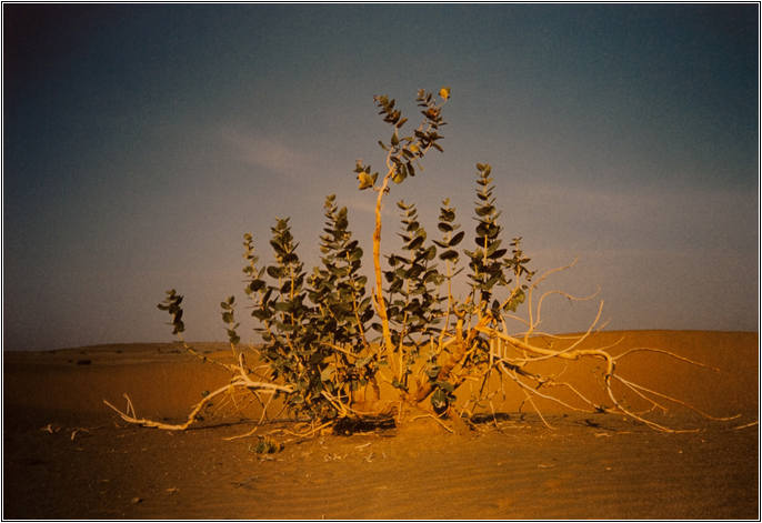 조선희의 힐링포토 7