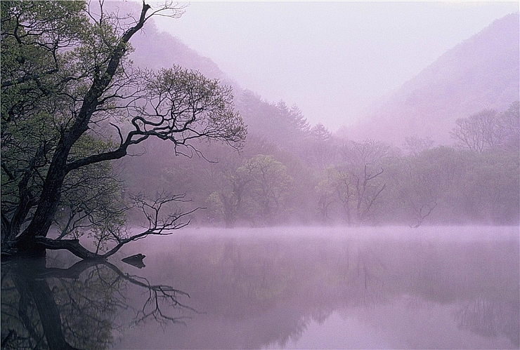  주왕산 청송 주산지의 아침 eagle9982님 사진 