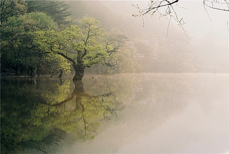  주왕산 청송 주산지의 아침 eagle9982님 사진 