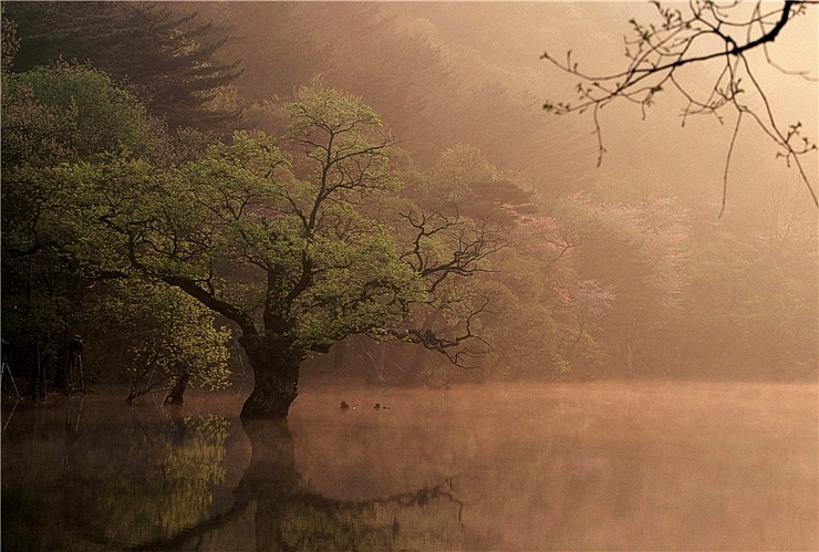  주왕산 청송 주산지의 아침 eagle9982님 사진 