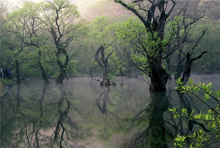  주왕산 청송 주산지의 아침 eagle9982님 사진 