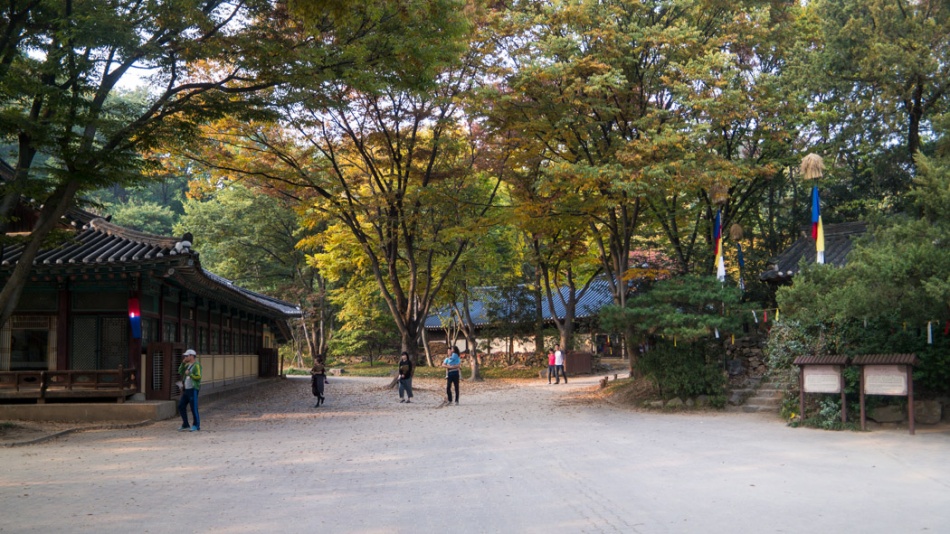 용인민속촌-햇살 낙엽 사람들-6182.jpg