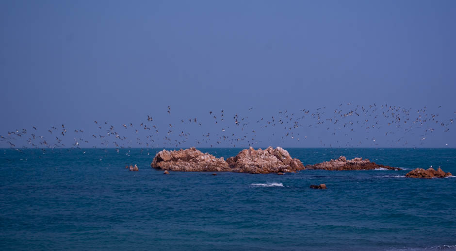 경주 여행 - 문무대왕릉을 가다 15