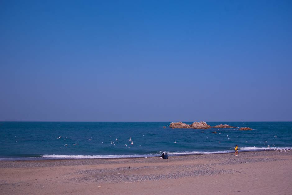 경주 여행 - 문무대왕릉을 가다 16