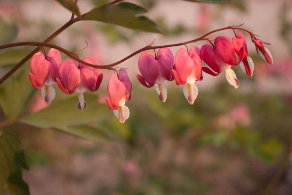 경주 여행 - 경주타워에서(엑스포공원) 4
