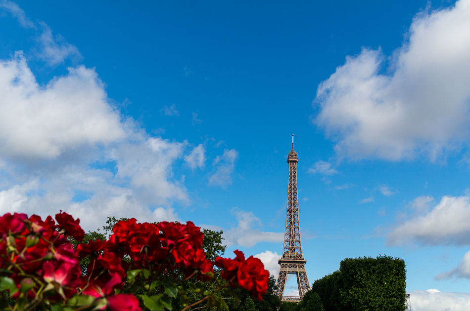 에펠탑이 보이는 풍경-5097.jpg