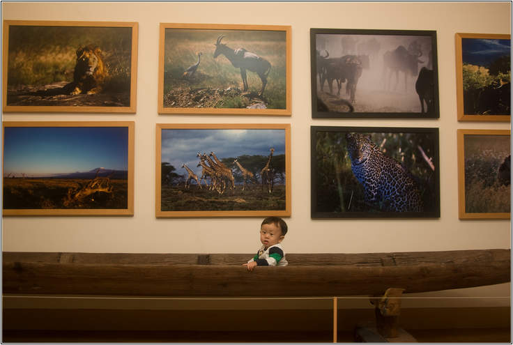 [제주여행]제주도 푸른밤, 7박 8일 여행기 첫번째 43