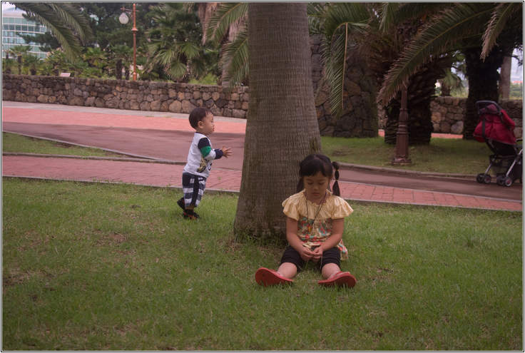 [제주여행]제주도 푸른밤, 7박 8일 여행기 첫번째 48