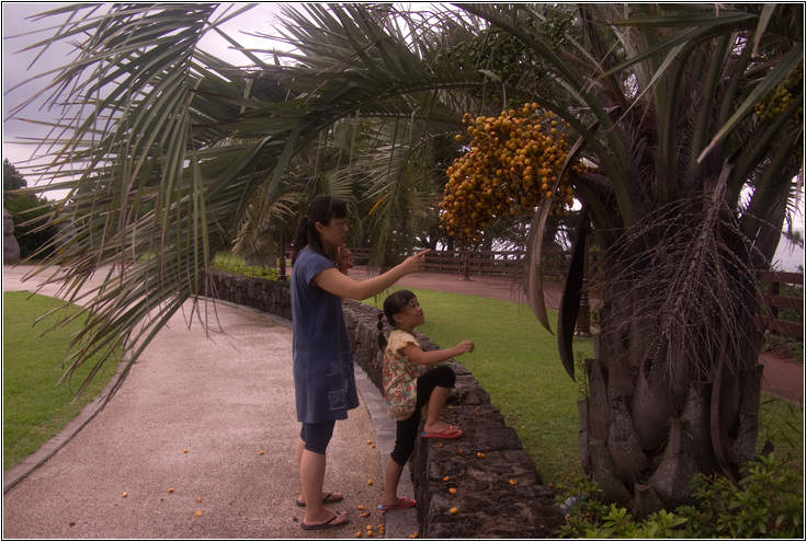 [제주여행]제주도 푸른밤, 7박 8일 여행기 첫번째 49