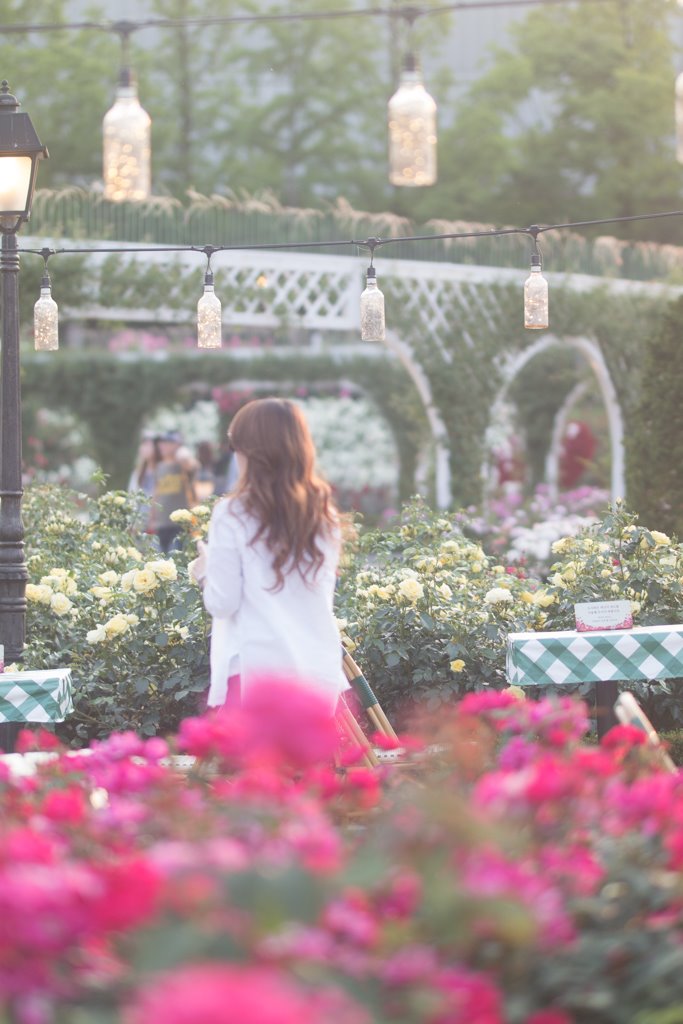 에버랜드 장미원서 담아본 사소한 스냅... 36 에버랜드 장미원 풍경