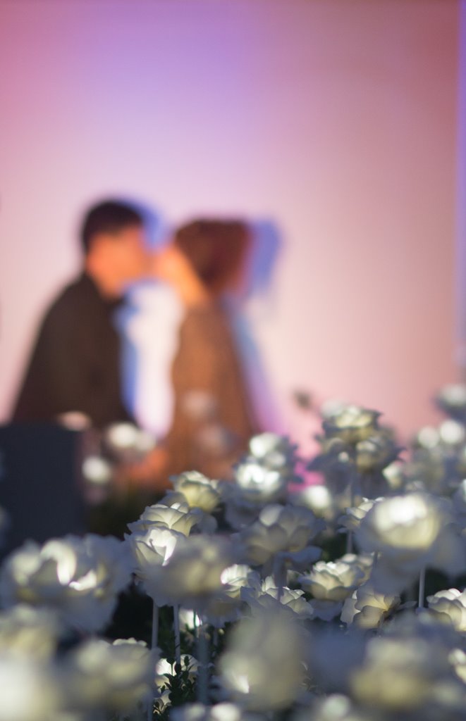   에버랜드 장미원 풍경  