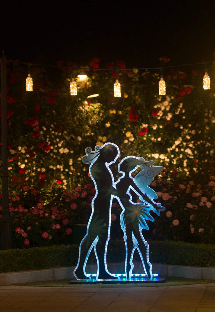   에버랜드 장미원 풍경  