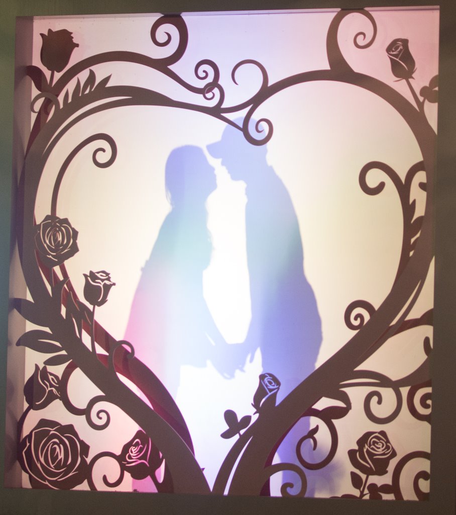   에버랜드 장미원 풍경  