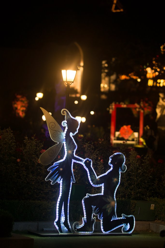   에버랜드 장미원 풍경  