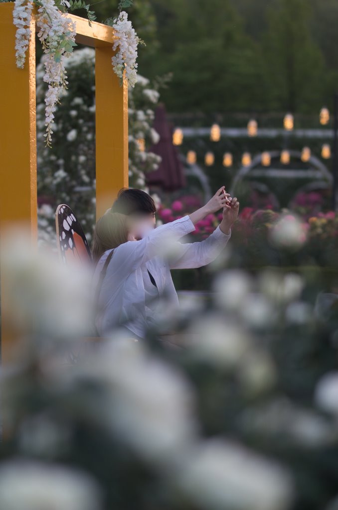 에버랜드 장미원서 담아본 사소한 스냅... 34 에버랜드 장미원 풍경