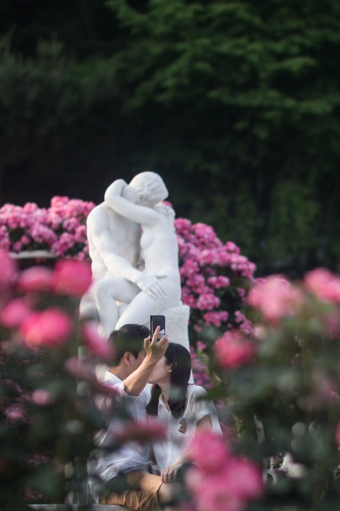   에버랜드 장미원 풍경  