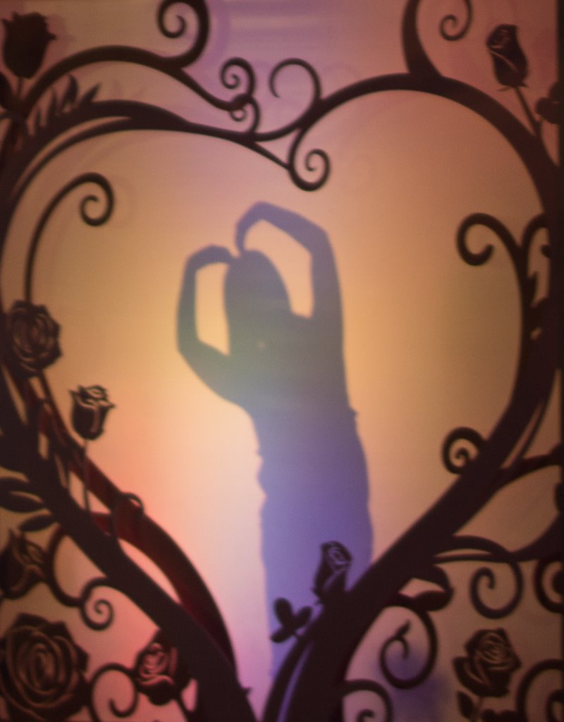 에버랜드 장미원서 담아본 사소한 스냅... 41 에버랜드 장미원 풍경