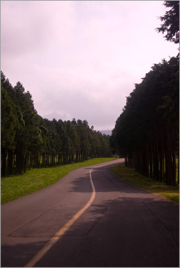 [제주여행]제주도 푸른밤, 7박 8일 여행기 두번째 17