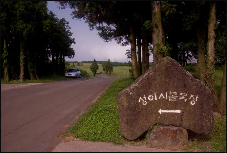 [제주여행]제주도 푸른밤, 7박 8일 여행기 두번째 15