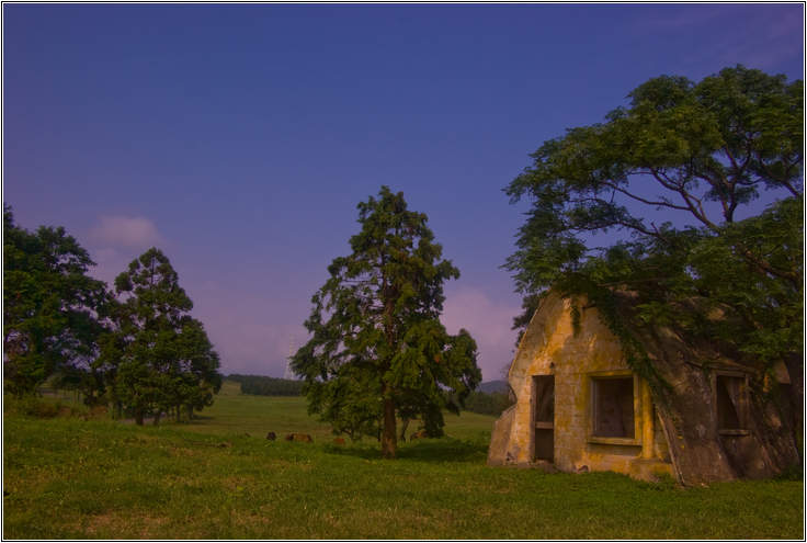 [제주여행]제주도 푸른밤, 7박 8일 여행기 두번째 19
