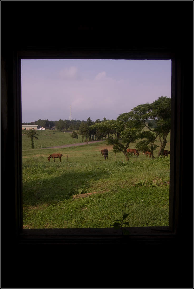 [제주여행]제주도 푸른밤, 7박 8일 여행기 두번째 22