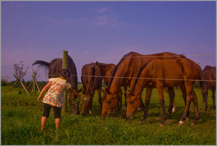 [제주여행]제주도 푸른밤, 7박 8일 여행기 두번째 23