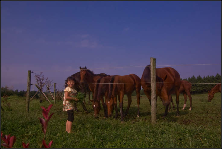 [제주여행]제주도 푸른밤, 7박 8일 여행기 두번째 24