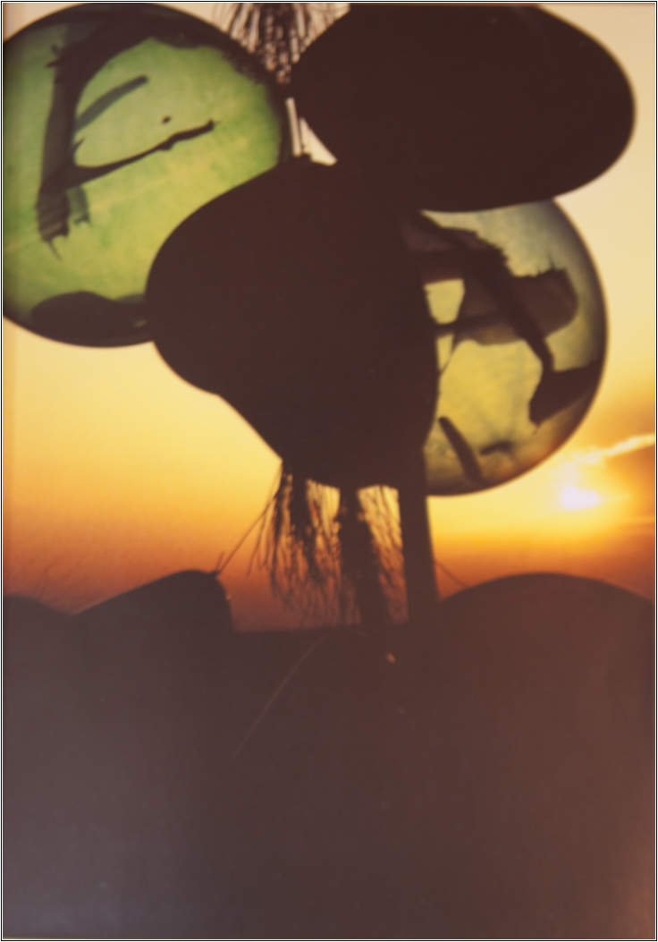 조선희의 "네 멋대로 찍어라" 1