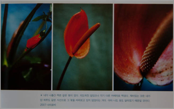 조선희의 "네 멋대로 찍어라" 5