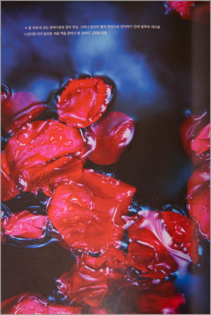 조선희의 "네 멋대로 찍어라" 11