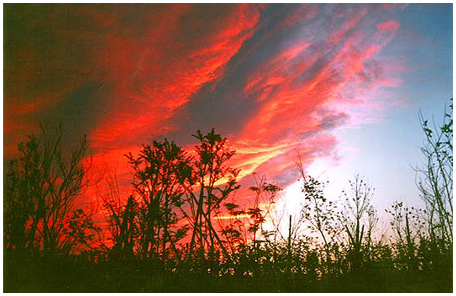 이케다 다이사쿠_붉은 오로라.jpg