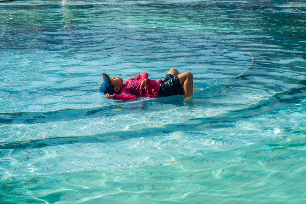 코타키나발루 여행(Travelogue to Kota Kinabalu) _ 수트라하버 리조트 30 수트라하버 퍼시픽 수영장 노는 은결