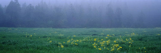 김영갑 수필집, 그 섬에 내가 있었네... 9