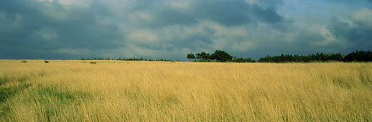 김영갑 수필집, 그 섬에 내가 있었네... 10