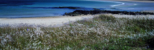 김영갑 수필집, 그 섬에 내가 있었네... 13