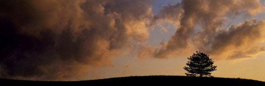 김영갑 수필집, 그 섬에 내가 있었네... 14