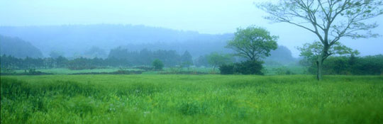 김영갑 수필집, 그 섬에 내가 있었네... 17