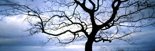 김영갑 수필집, 그 섬에 내가 있었네... 18