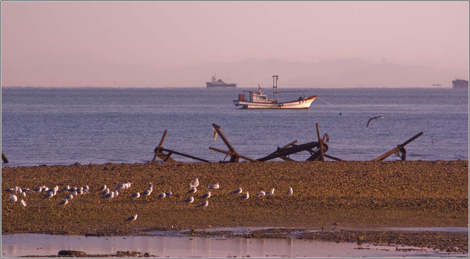 또 다시 왜목마을 일출을 찾아가다 21