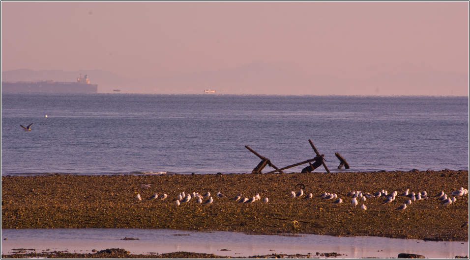 또 다시 왜목마을 일출을 찾아가다 22