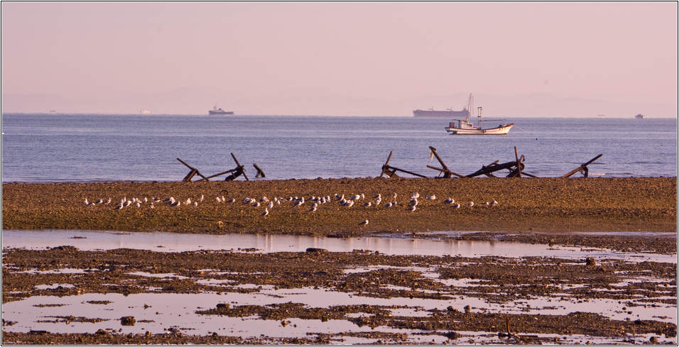 또 다시 왜목마을 일출을 찾아가다 23