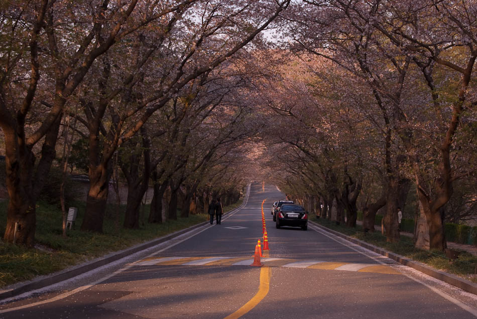 희원 앞 호수 풍경 37
