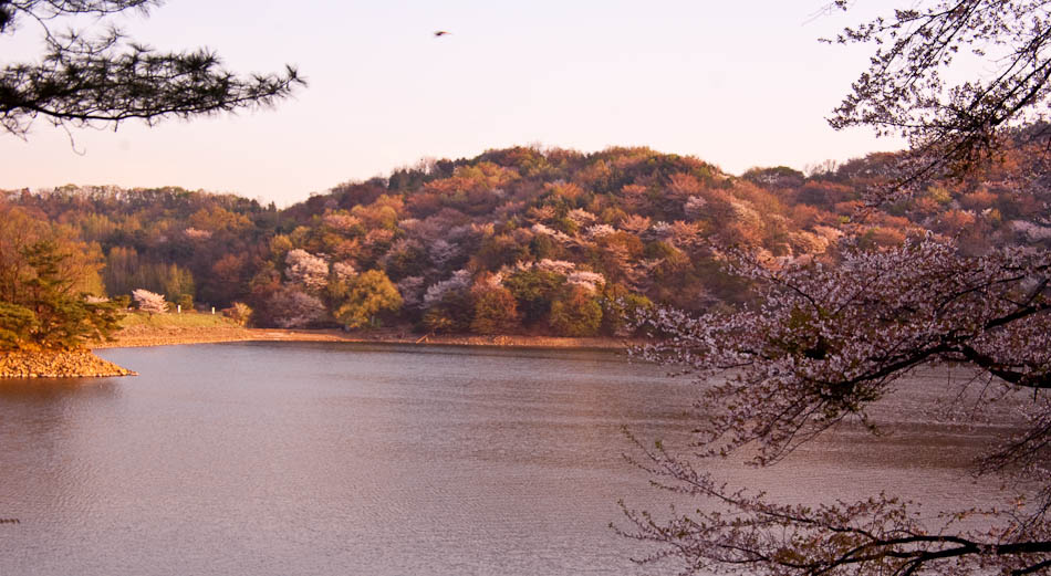 희원 앞 호수 풍경 35